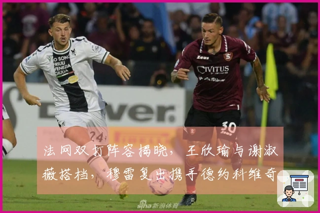 法网双打阵容揭晓,王欣瑜与谢淑薇搭档,穆雷复出携手德约科维奇